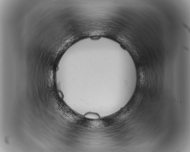 X0000100340308200806261333