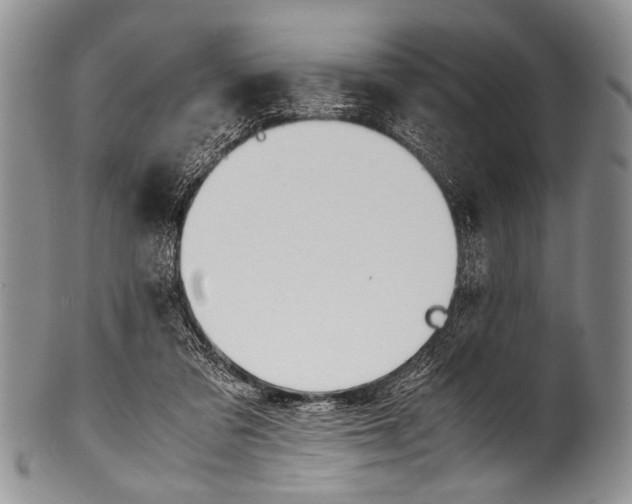 X0000100340309200806261333