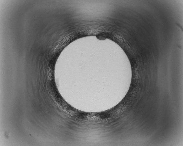 X0000100340311200806261333