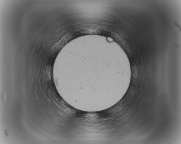 X0000100340313200806261333