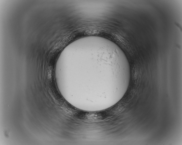 X0000100340315200806261333