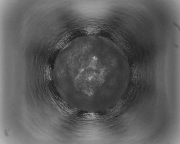 X0000100340316200806261333