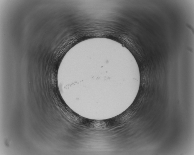 X0000100340317200806261333