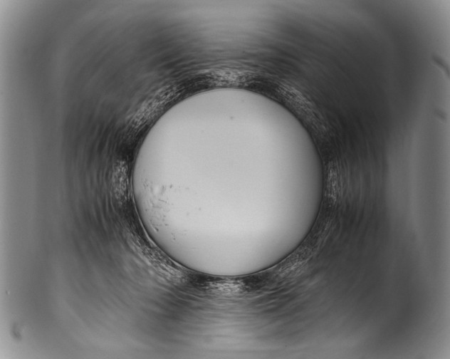 X0000100340318200806261333