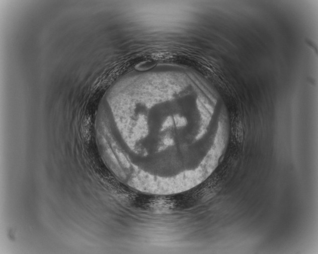 X0000100340319200806261333