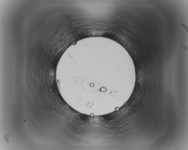 X0000100340321200806261333