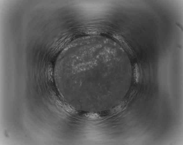 X0000100340322200806261333