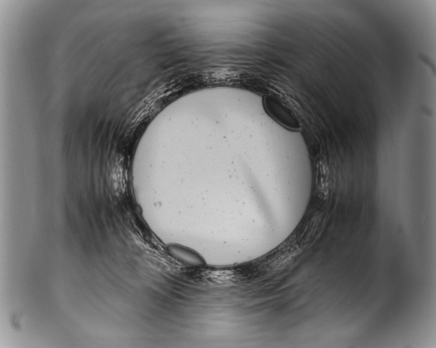 X0000100340324200806261333