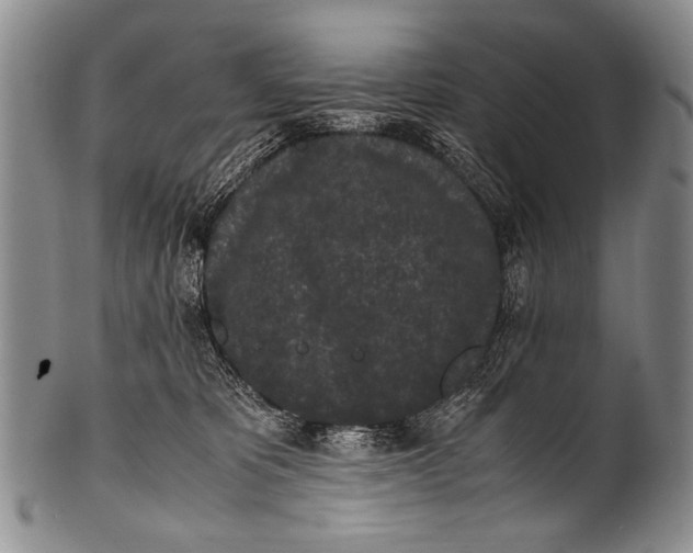 X0000100340325200806261333