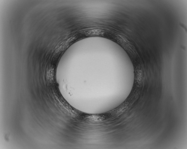 X0000100340326200806261333