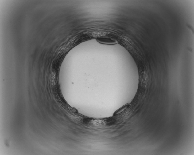 X0000100340327200806261333