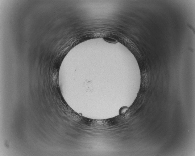 X0000100340329200806261333