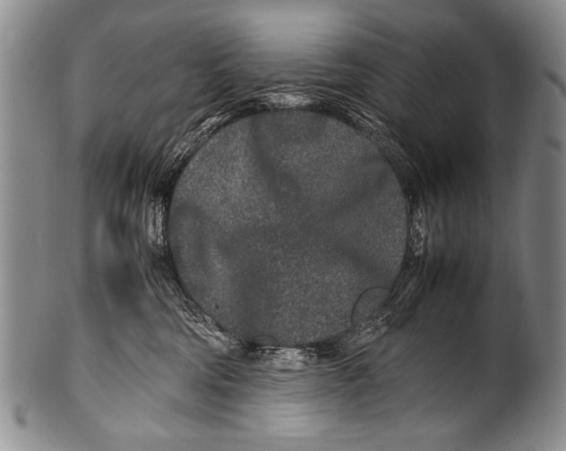 X0000100340330200806261333