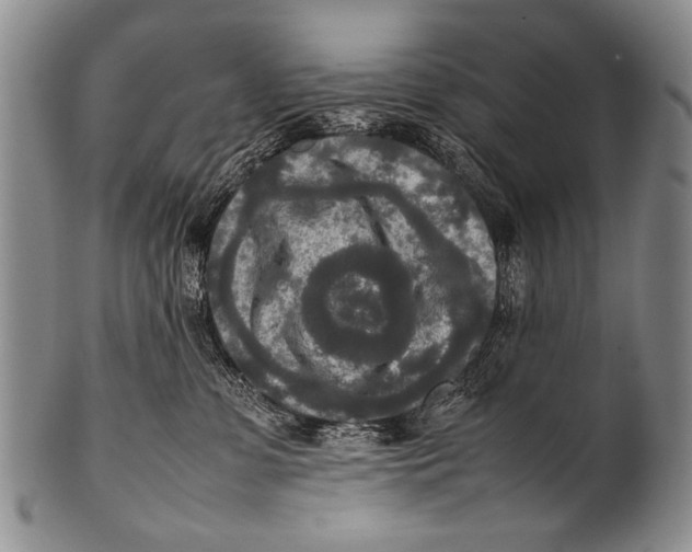 X0000100340331200806261333