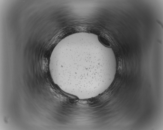 X0000100340332200806261333