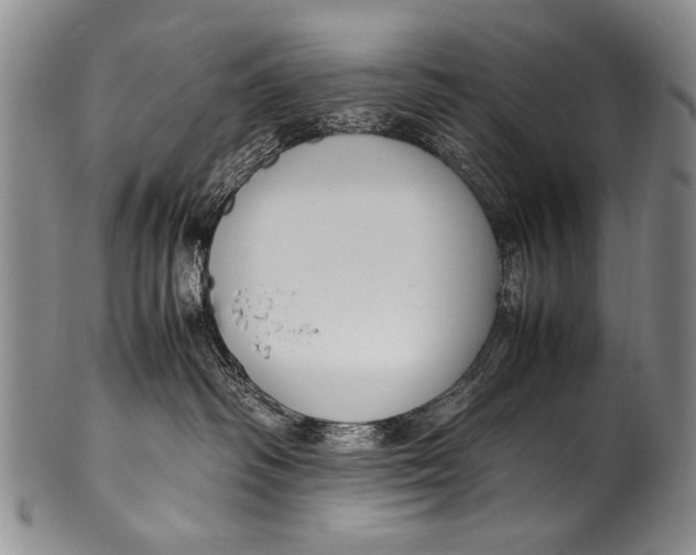 X0000100340334200806261333