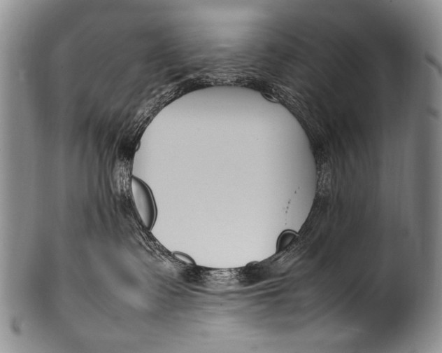 X0000100340335200806261333