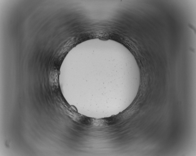 X0000100340336200806261333