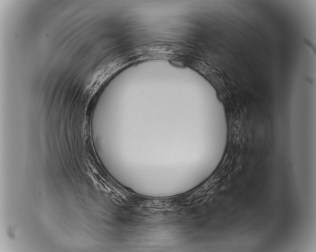 X0000100340338200806261332