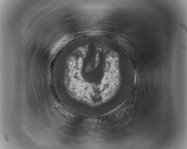 X0000100340339200806261332