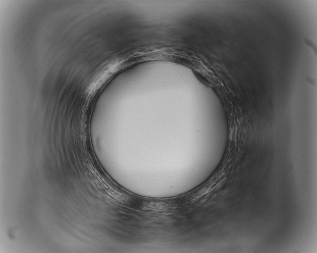 X0000100340341200806261332