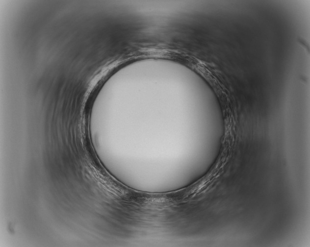 X0000100340342200806261332