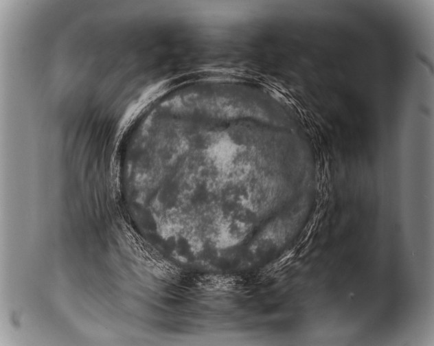 X0000100340343200806261332