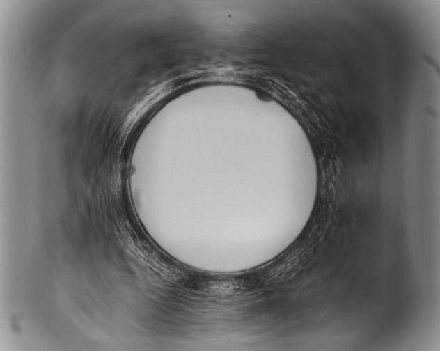 X0000100340344200806261332