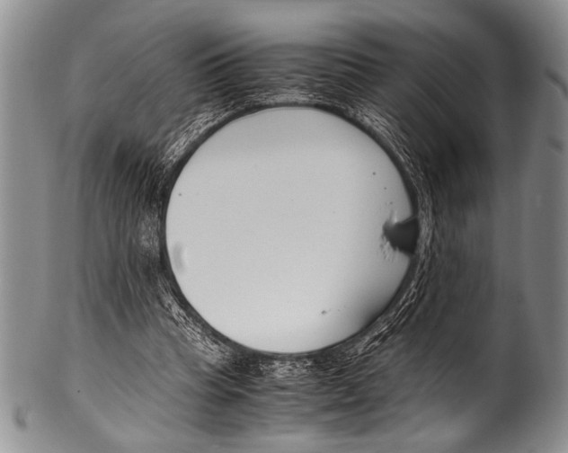 X0000100340345200806261332