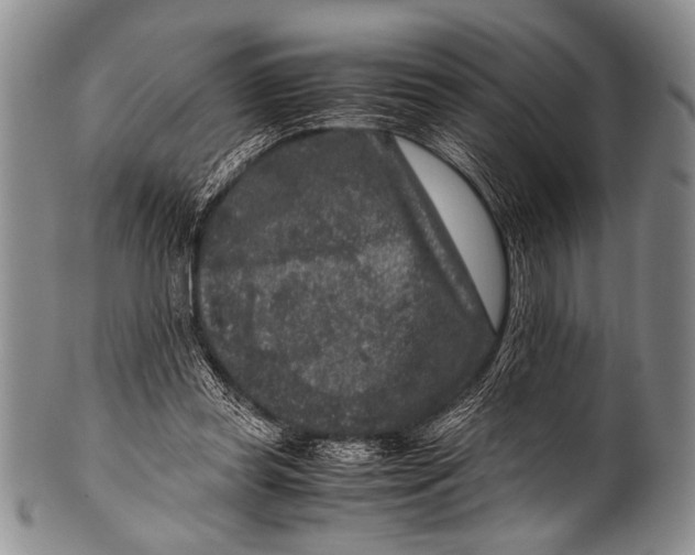 X0000100340349200806261332