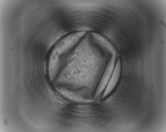 X0000100340351200806261332