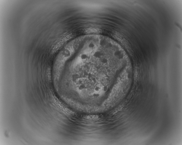 X0000100340353200806261332