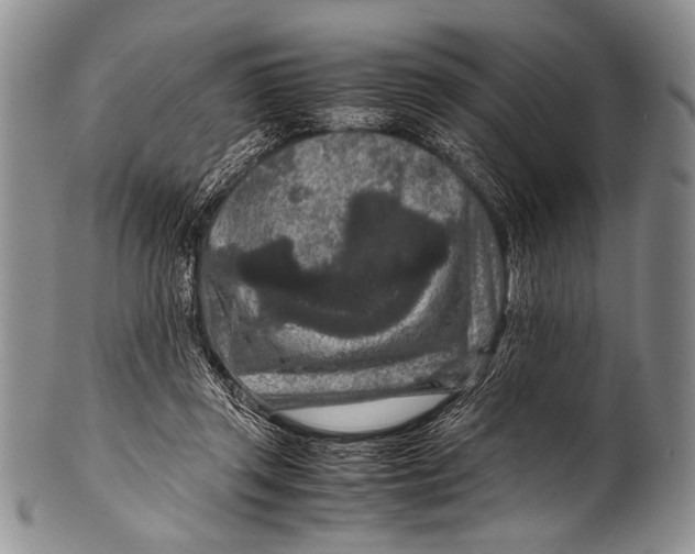 X0000100340357200806261332