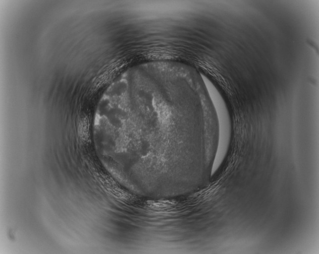 X0000100340359200806261332