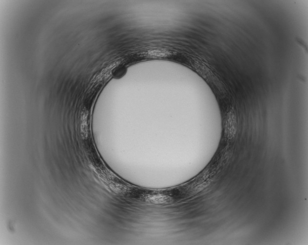 X0000100340360200806261332