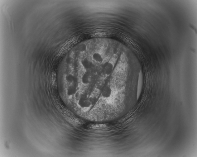 X0000100340361200806261332