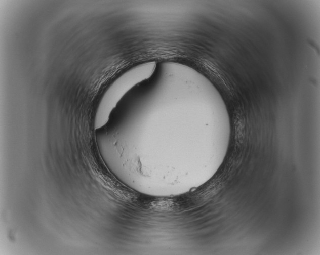 X0000100340362200806261332