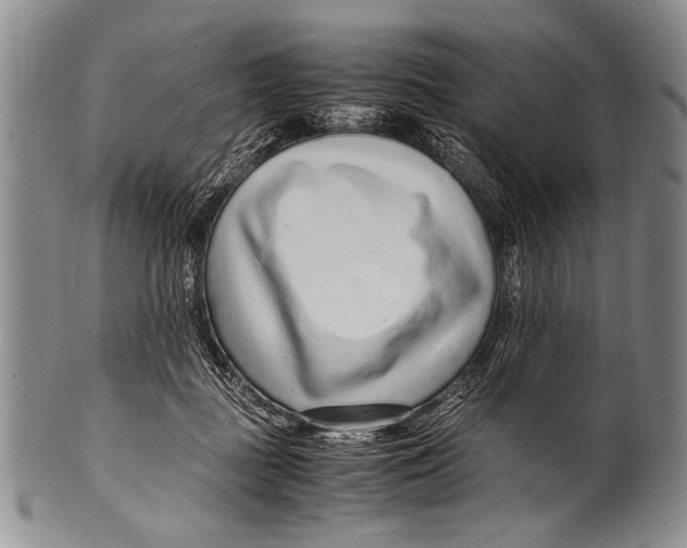 X0000100340363200806261332