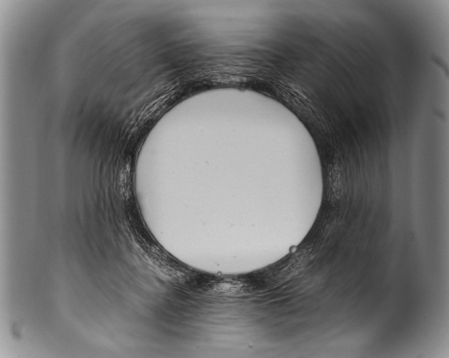 X0000100340364200806261332