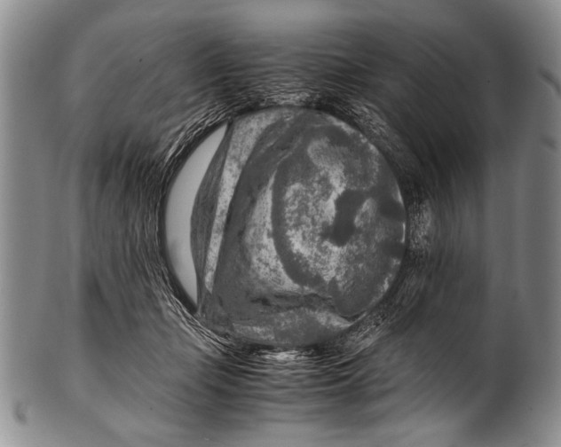 X0000100340365200806261332