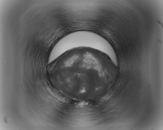 X0000100340366200806261332