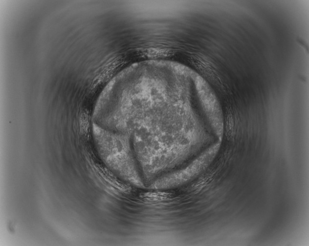 X0000100340367200806261332