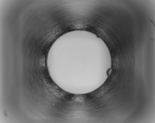 X0000100340368200806261332