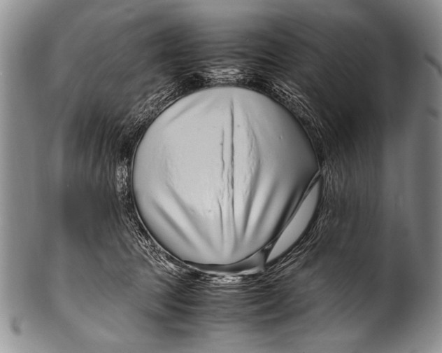 X0000100340369200806261332