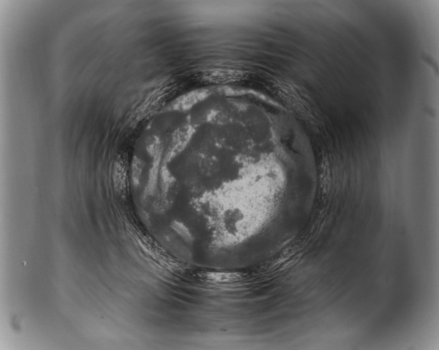 X0000100340371200806261332