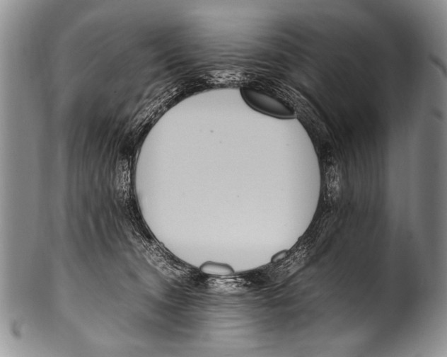 X0000100340372200806261332