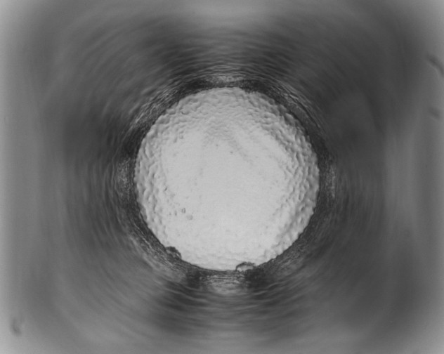 X0000100340373200806261332