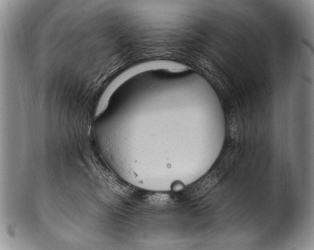 X0000100340374200806261332