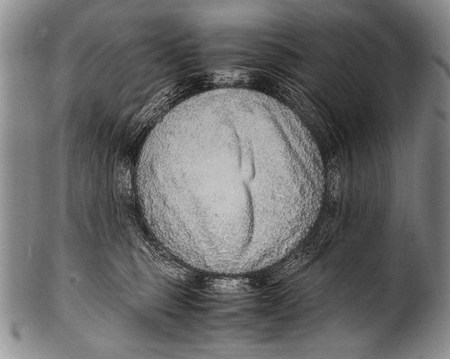 X0000100340375200806261332