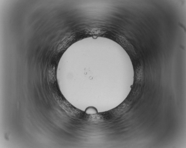 X0000100340376200806261333